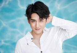 娱乐大爆料秦俊杰,揭秘明星幕后故事